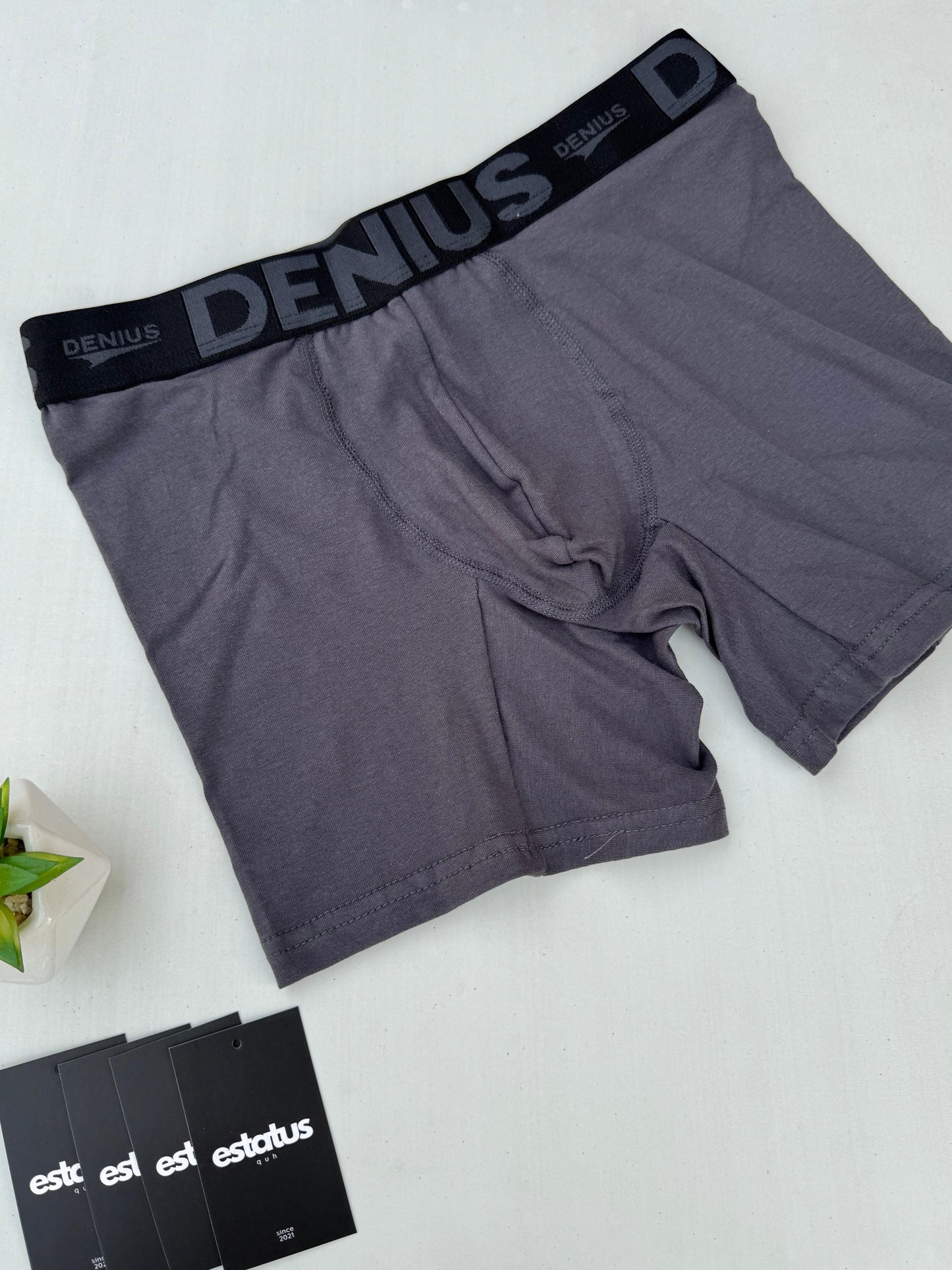 Boxer Denius (Pack x6 Un)