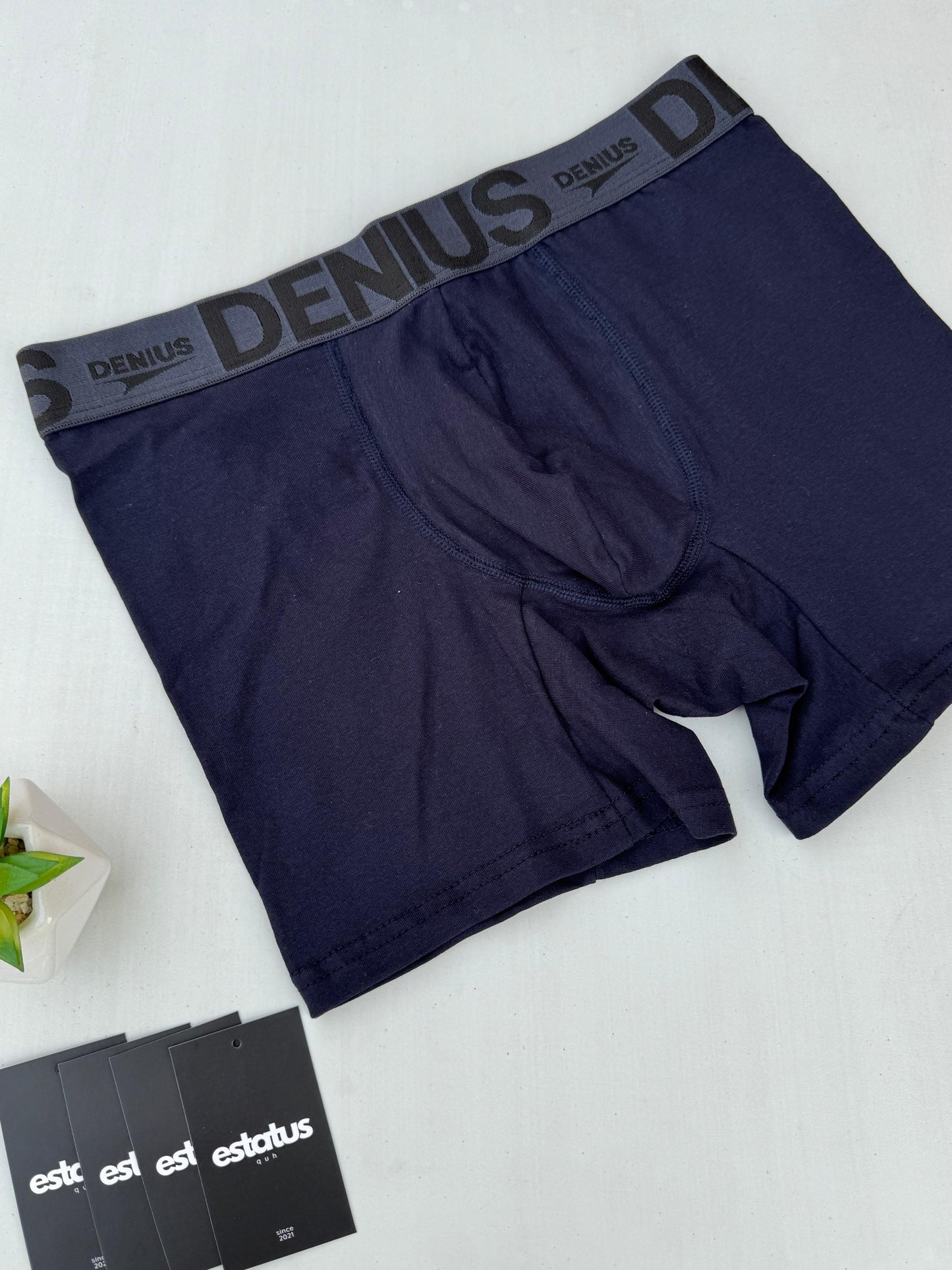 Boxer Denius (Pack x6 Un)