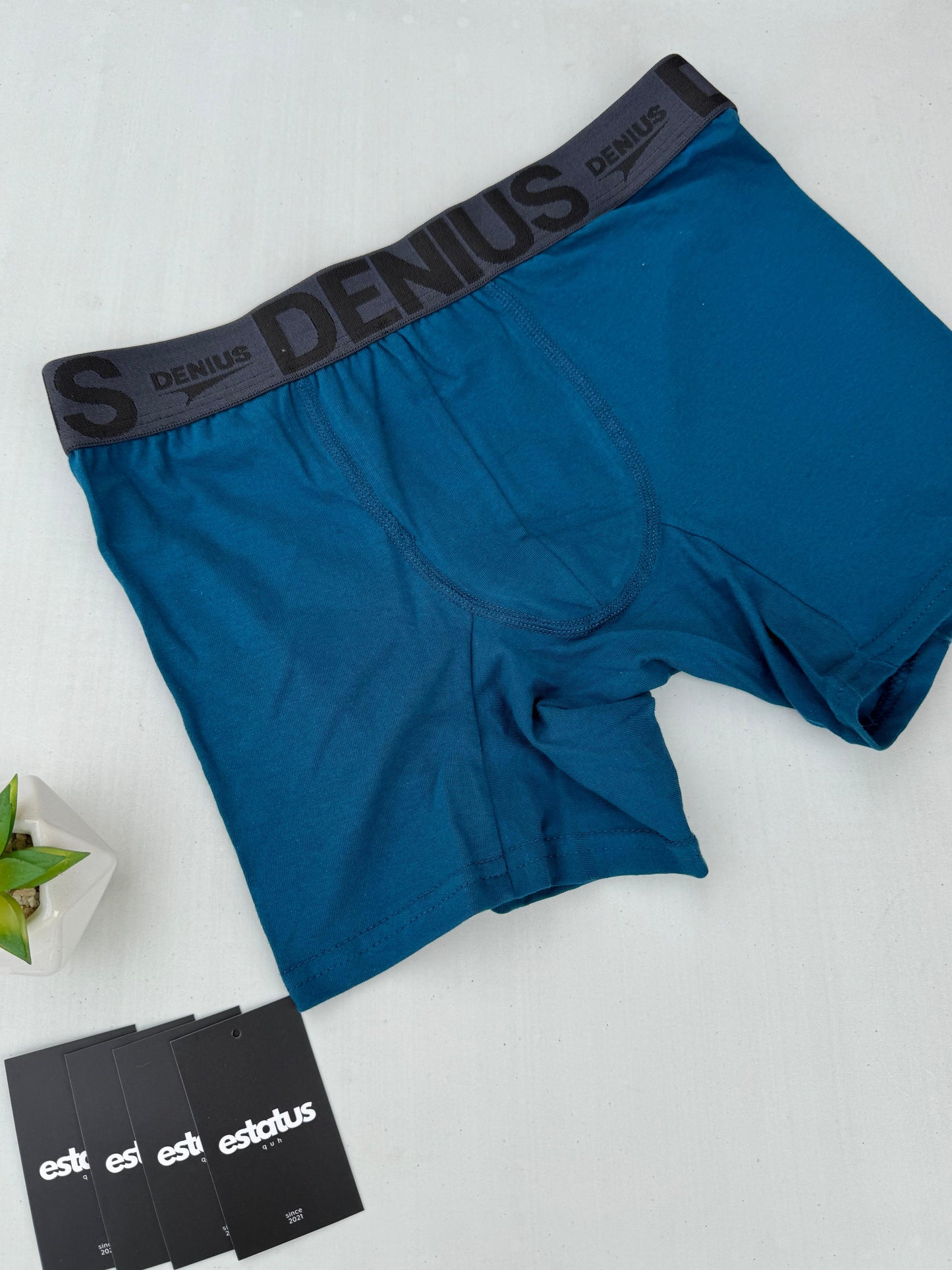 Boxer Denius (Pack x6 Un)