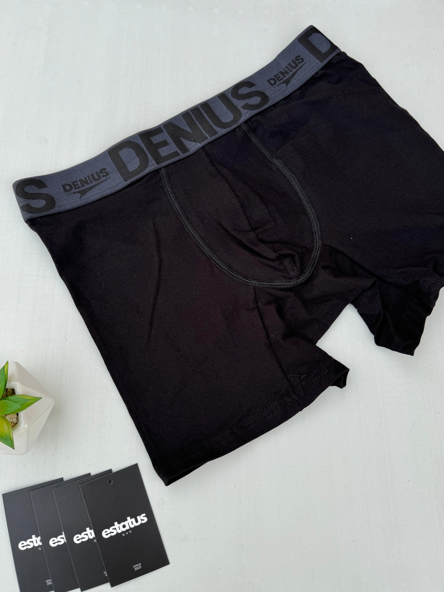 Boxer Denius (Pack x6 Un)